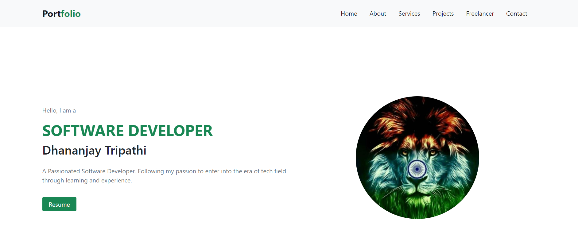 portfolio item